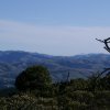 Point Reyes 10